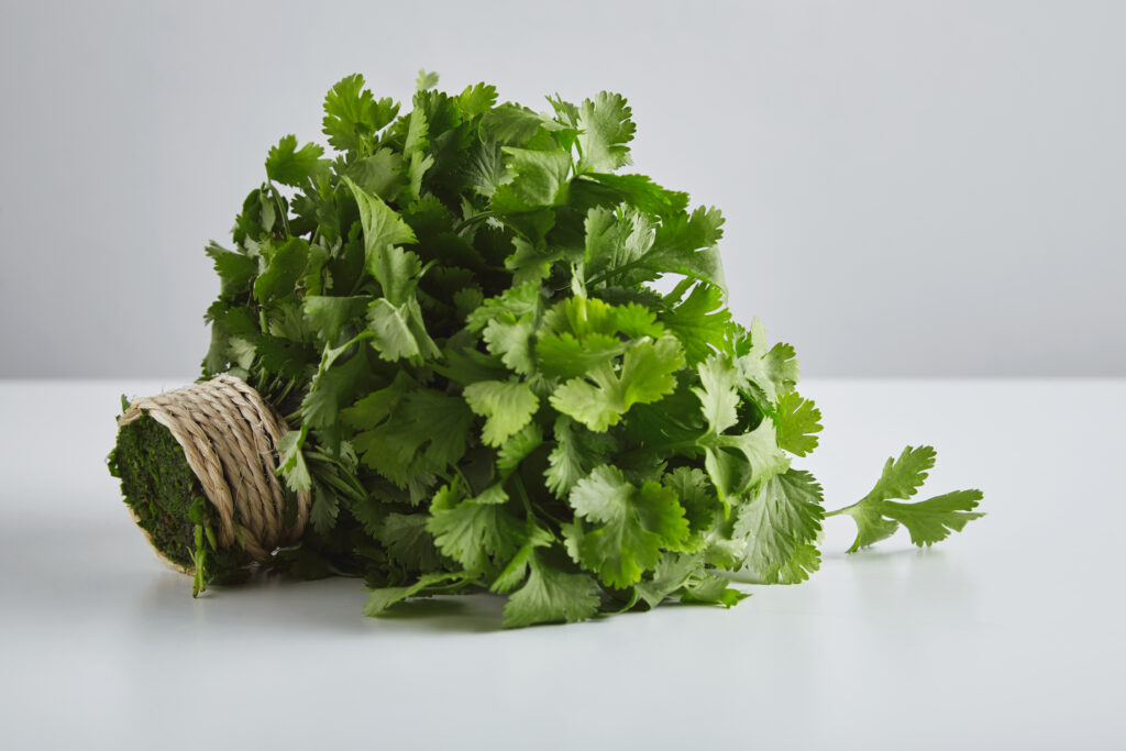 Parsley one of the main ingredients that are use for kidney detox loose leaf tea